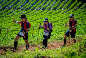 BIB: 9517, 970
                            <button type="button" onclick="openModal(19162846)" class="btn btn-primary btn-sm float-right btn-popup" data-toggle="modal" data-target=".modal-high-quality">
                        <i class="fas fa-shopping-cart"></i> Add to Cart
                    </button>
                                            <button type="button" onclick="isThisMe(19162846, true)" class="btn btn-success btn-sm float-right btn-popup btn-isme hidden" data-toggle="tooltip" data-placement="bottom" title="นี่คือรูปของคุณใช่ไหม คลิกที่นี่เพื่อเอาเข้าอัลบั้ม">
                        <i class="fas fa-plus"></i> Add to album
                    </button>
                    <button type="button" onclick="isThisMe(19162846, false)" class="btn btn-warning btn-sm float-right btn-popup btn-isnotme hidden">
                        <i class="fas fa-ban"></i> Remove from album
                    </button>